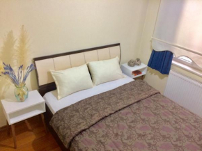 Comfy Flat 2 No Air Condition but has ceiling fans and central Heating